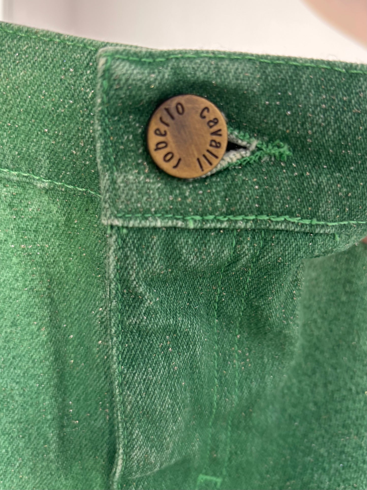 Roberto Cavalli green & sparkle flare jeans