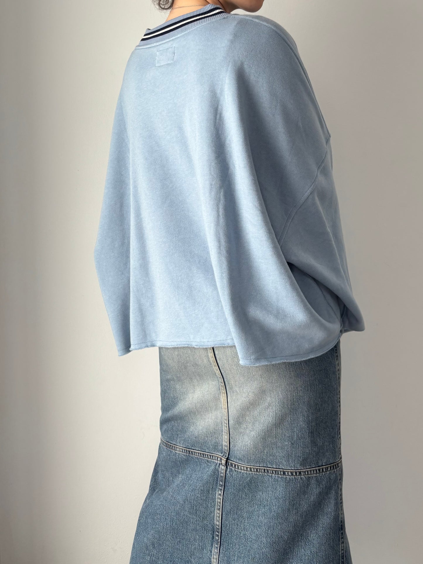 American eagle baby blue jumper