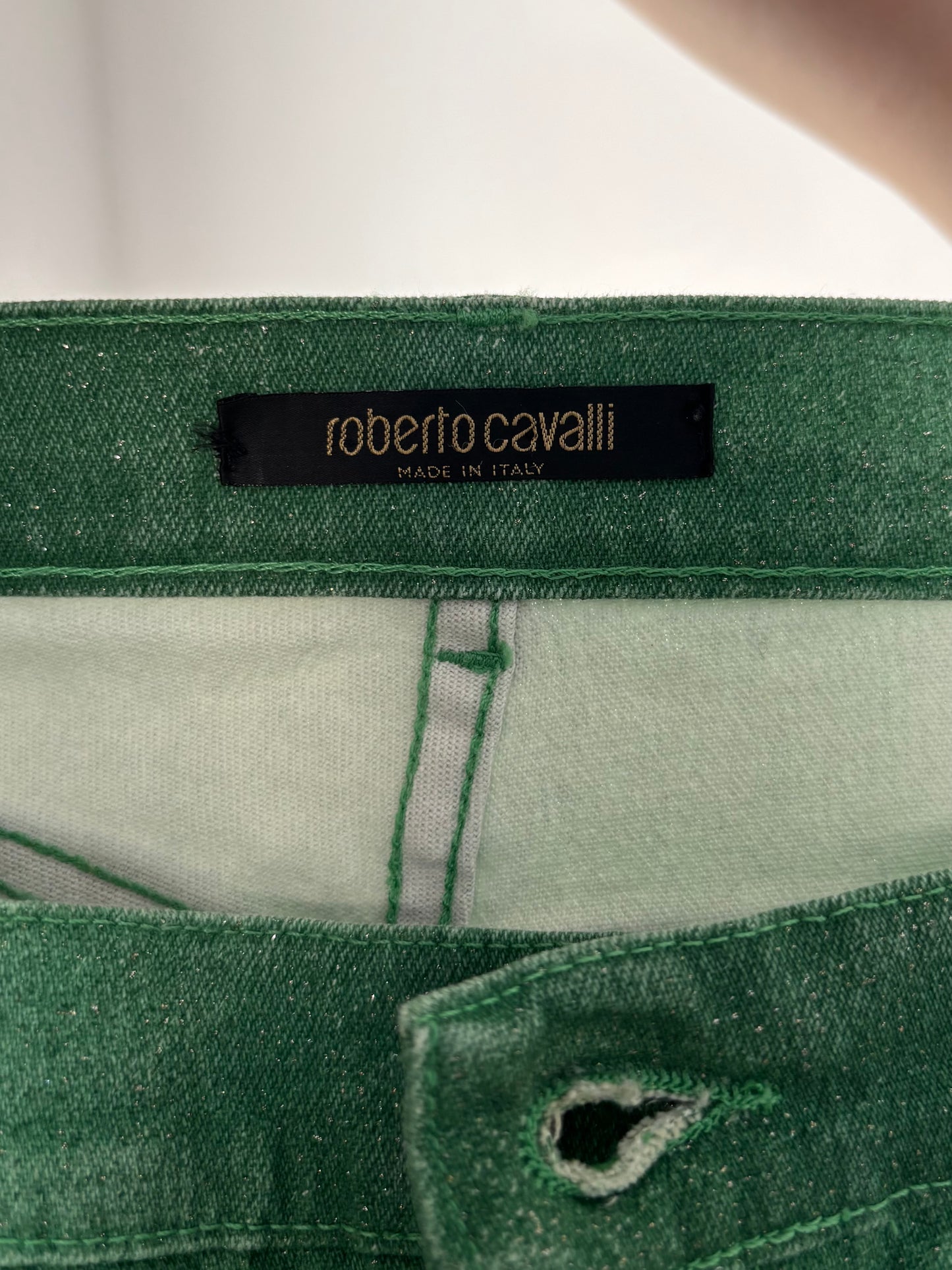 Roberto Cavalli green & sparkle flare jeans